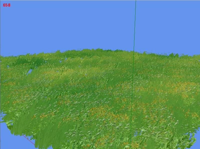 grasscolornoise.jpg grasscolornoise.jpg