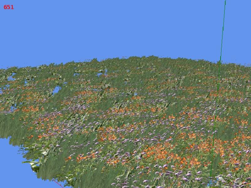 grassnocolornoise.jpg grassnocolornoise.jpg